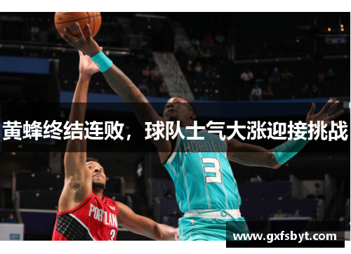 黄蜂终结连败，球队士气大涨迎接挑战